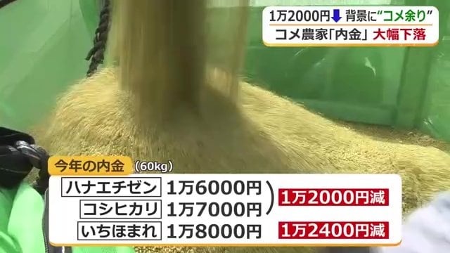 JA福井県が決定した2026年産米の内金