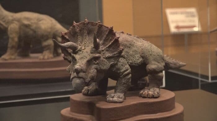 トリケラトプス