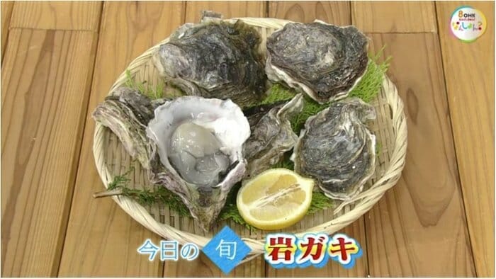 今が旬「岩ガキ」