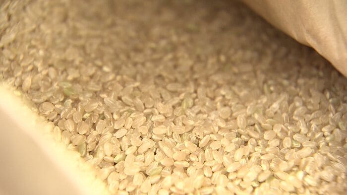 北海道産ゆめぴりかの新米は5キロに換算すると4800円程