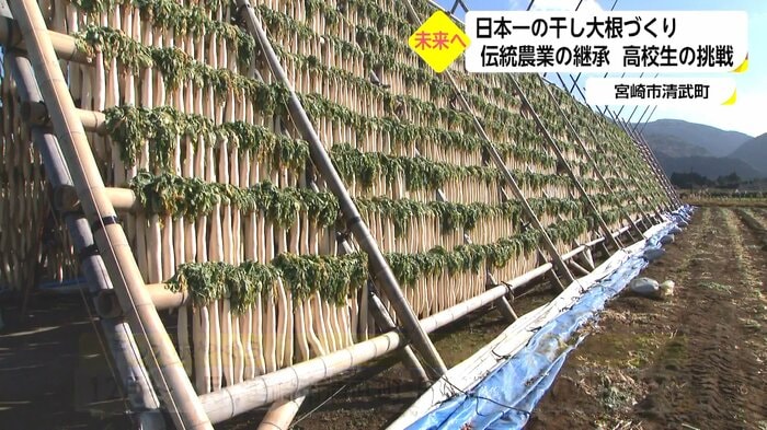 冬の風物詩「干し大根やぐら」