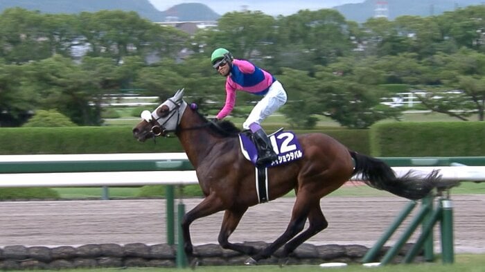 去年の宝塚記念を制したメイショウタバル