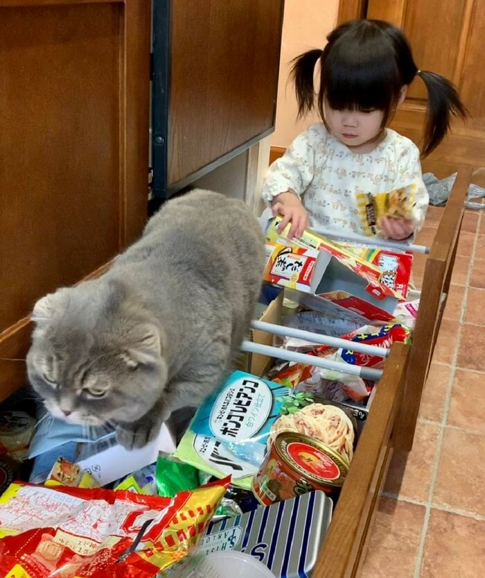 引き出しを開けてぐちゃぐちゃに…