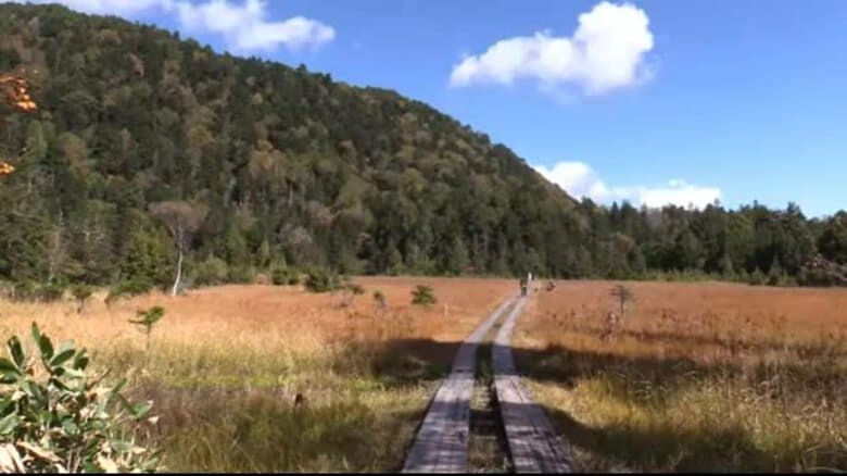 尾瀬国立公園の入山者は前年比110％　夏季の週末の天候好調が影響か｜FNNプライムオンライン