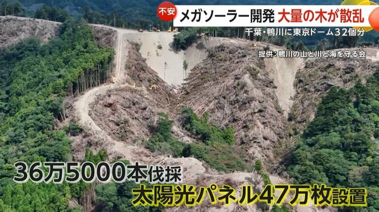 「土砂崩れで流れ出たら…」東京ドーム32個分のメガソーラー開発計画　大量の木散乱に住民不安　行政指導は58回　千葉・鴨川市｜FNNプライムオンライン