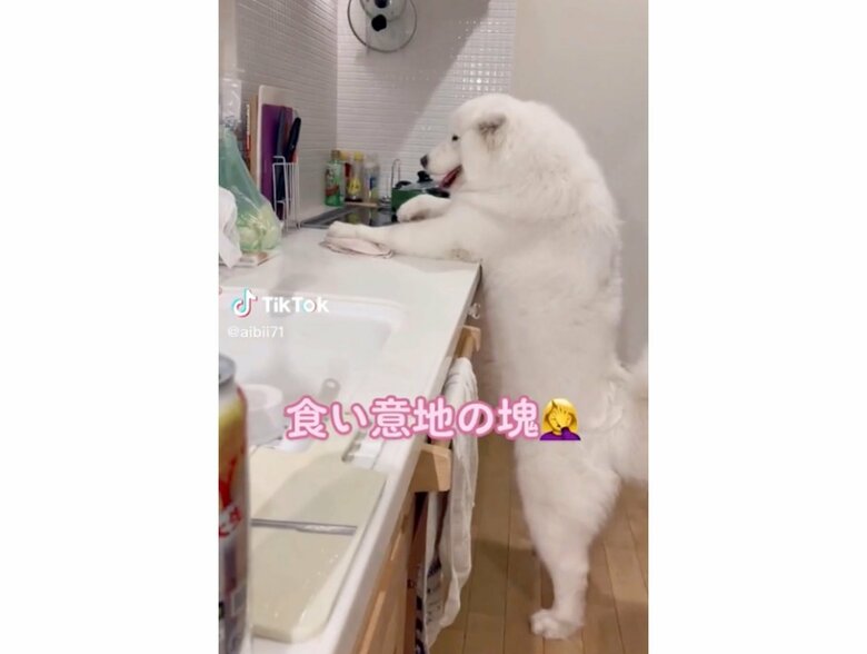 提供:ibukimama38さん