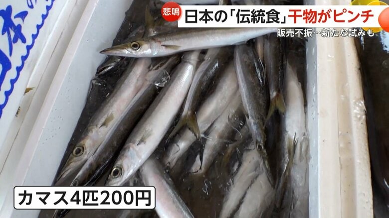 カマスが4匹200円（腰越漁業協同組合の朝市）