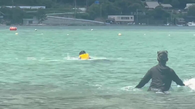 イルカが子どもを襲う一部始終⑦（全18枚）