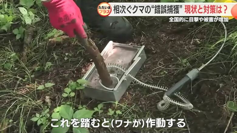 踏むと足にワイヤーがからみつく