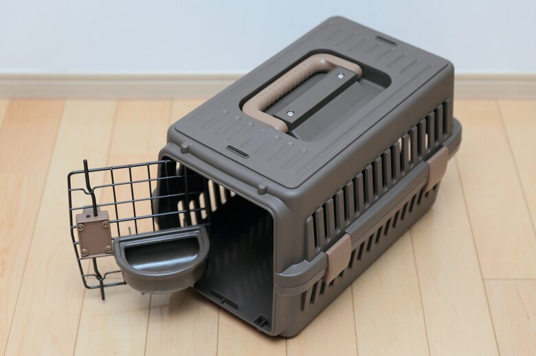 大型鳥の場合は犬猫用のキャリーで運び出すという選択肢も（画像はイメージ）