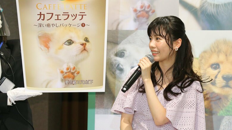 猫ちゃん大好き