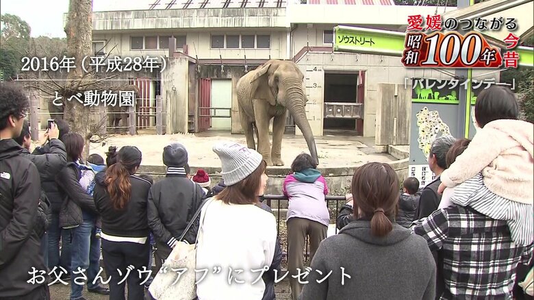 果物や野菜のケーキが贈られた