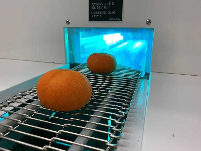 1つでも腐ると大変…「みかんを腐りにくくする装置」は紫外線を当てるだけ 開発者に聞いた