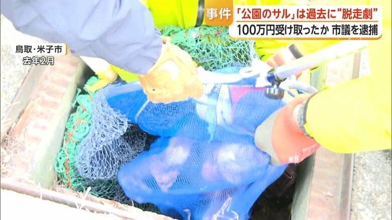 脱走から約5時間後に捕まった「まさる」