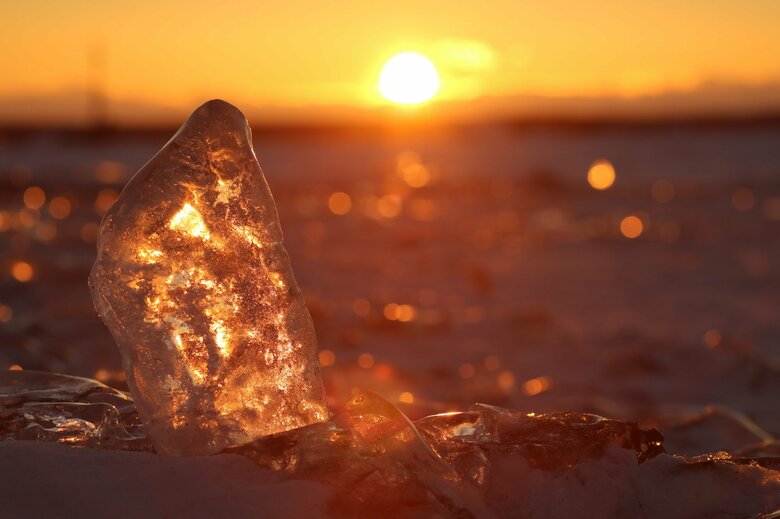 朝焼けに照らされた姿（提供：豊頃町）