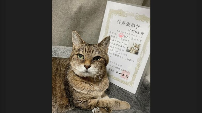 モカちゃんは心なしか満足気な表情（提供：飼い主さん）