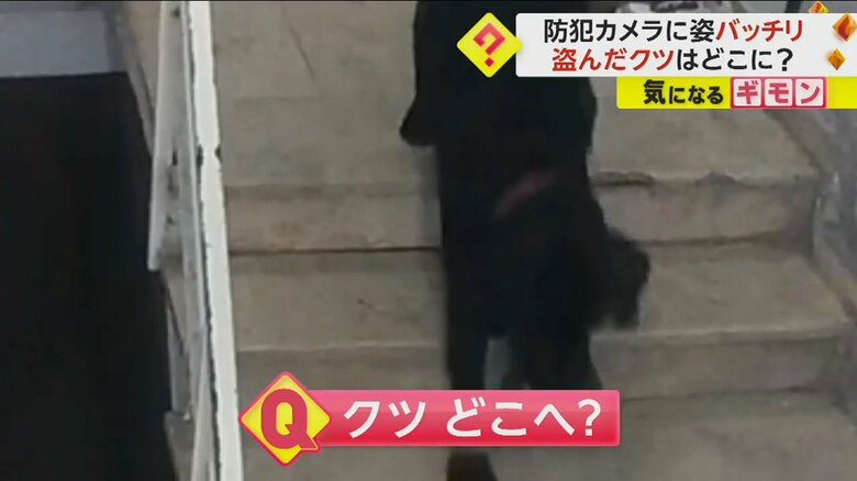 2匹の犬がクツを盗んでいく様子⑥