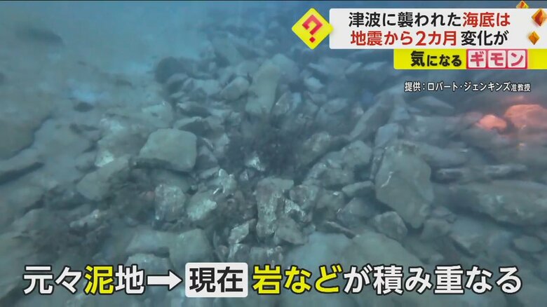 「れき」と呼ばれる岩などが積み重なっている九十九湾の海底