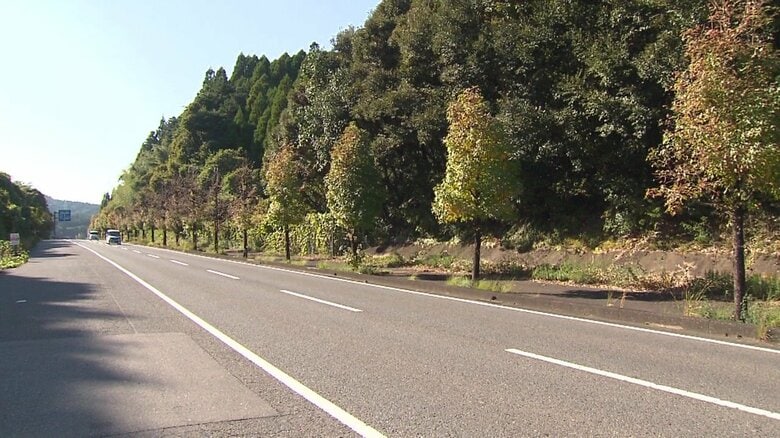 佐賀・伊万里市の国道498号線「松浦バイパス」沿いの街路樹