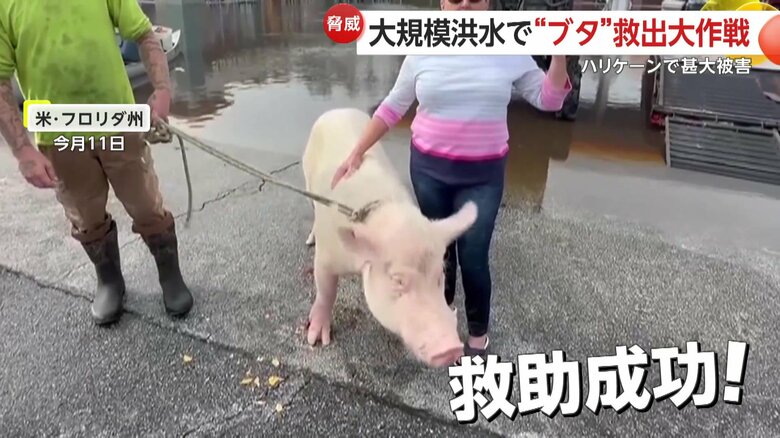 水から出ることができたミリー