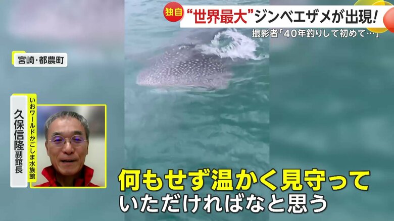 野生の動物とは適切な距離を保ってほしいと話す久保信隆副館長