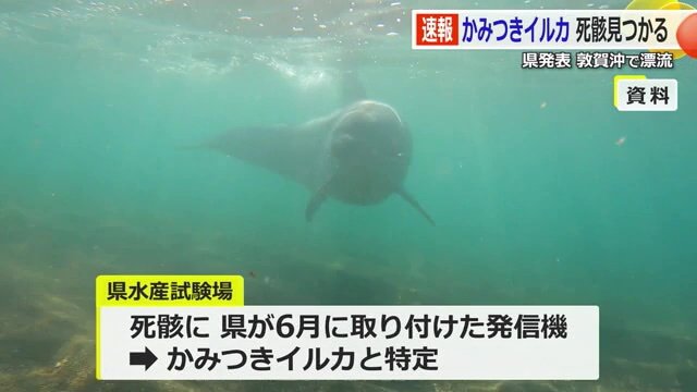 被害にあった人が多数