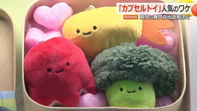 ぬいぐるみや人気キャラなど種類も豊富