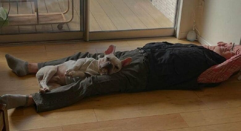 足の間でスヤスヤ