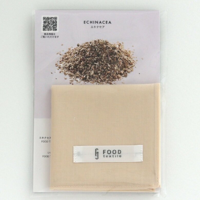 アイボリー（エキナセア）