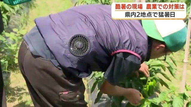 ファン付きの空調服