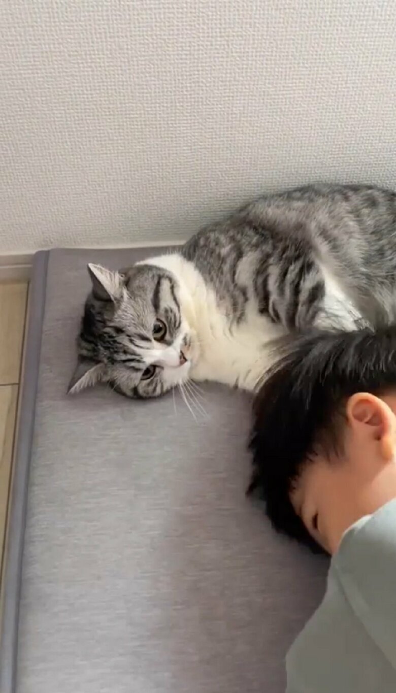 頭をぐりぐりしても、ふにちゃんが逃げる様子はない