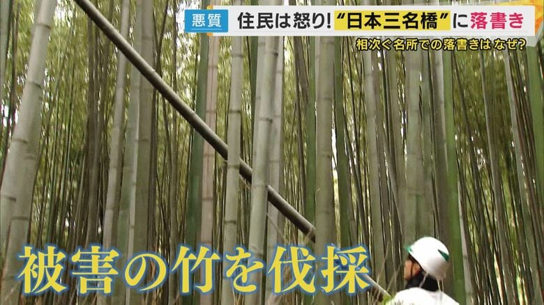 落書きされた竹を伐採する事態に…