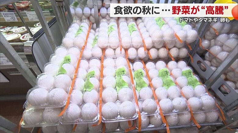 卵は１パック２３６円