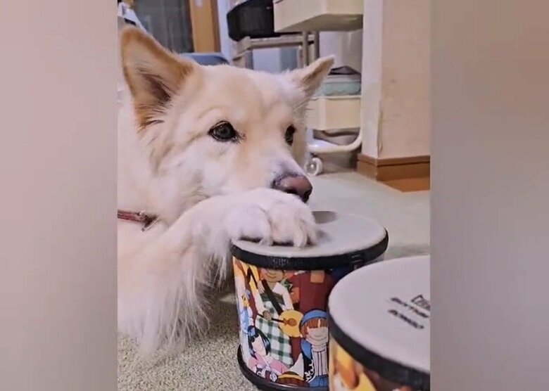 同じ行動をまねすることもあるという