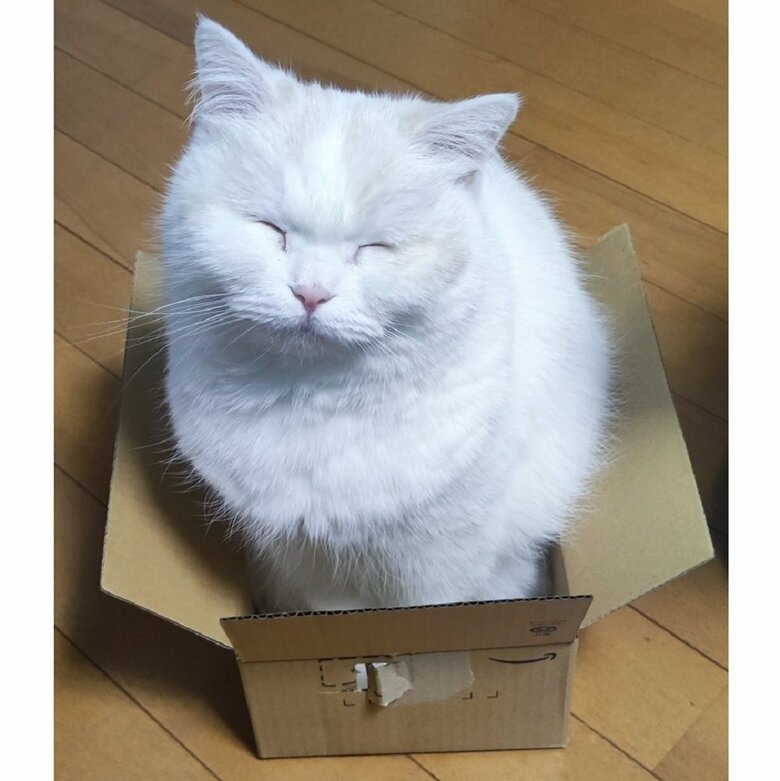 流石に小さい…