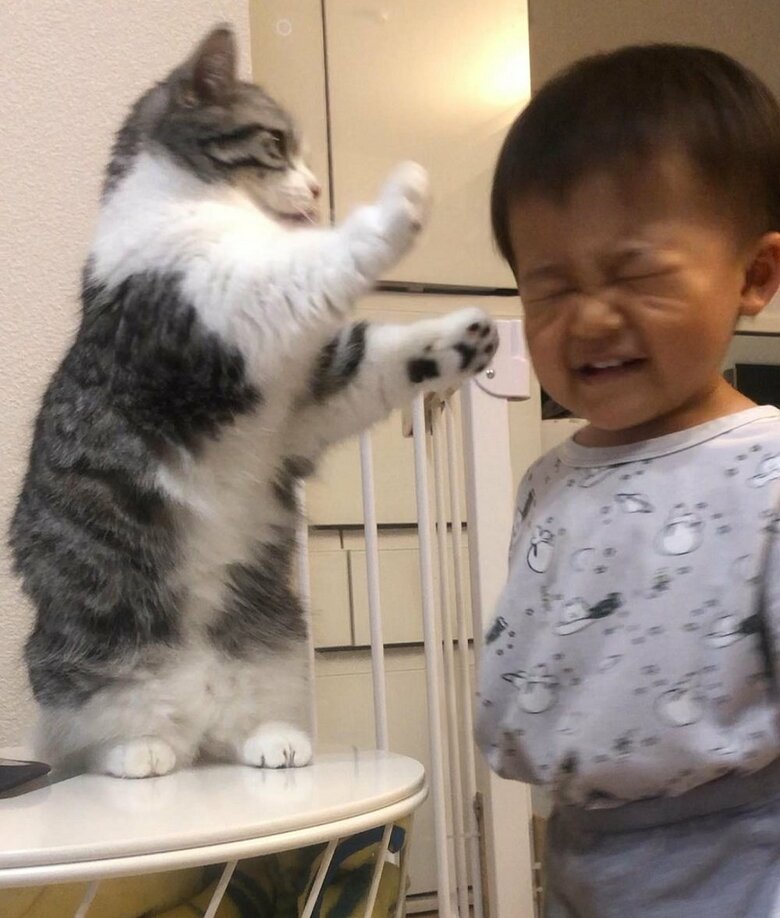 怒られてしまうことも…
