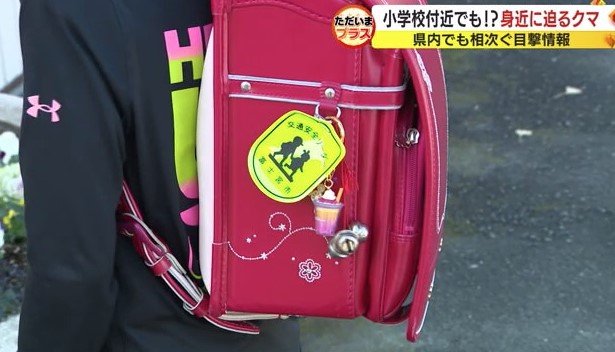 ランドセルにクマ鈴