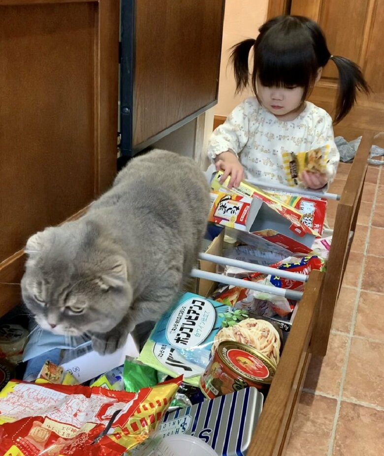 引き出しを開けてぐちゃぐちゃに…