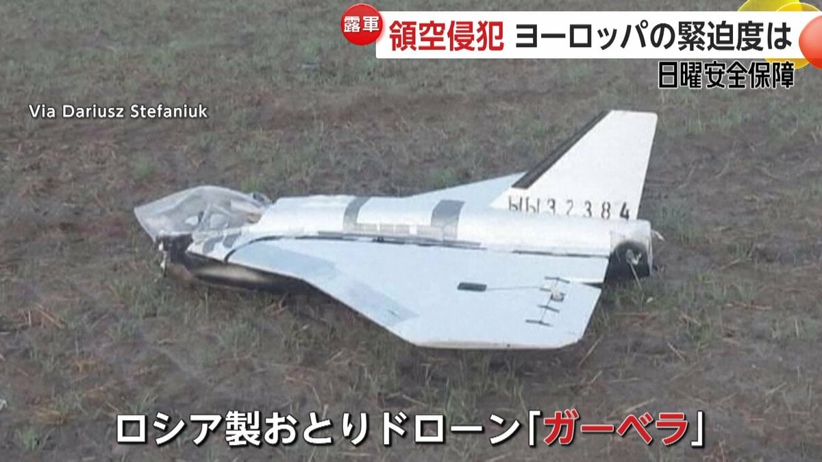 ロシア製おとりドローン「ガーベラ」をポーランドで撮影…NATOへ領空