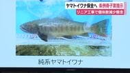 ヤマトイワナの保全へ　条例の骨子案を提示　リニア工事で固体数の減少を懸念