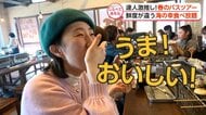 達人が絶賛！春を満喫バスツアー【しらべてみたら】