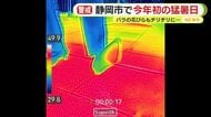 「もう暑さはいらない」県内は30日も厳しい暑さ　サーモカメラでアナウンサーの足元を見ると真っ赤に…　静岡市では今年初の猛暑日も観測