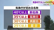 気温40度以上の日、何て呼ぶ？気象庁が公募中　真夏日、猛暑日の次は…　あなたが“名付け親”になるかも