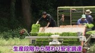 外食大手ワタミの子会社がコメ生産に本格参入　将来的に「ワタミ米」輸出も検討