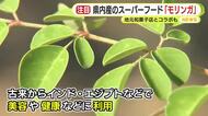 「自分で実感できる部分が多かった」スーパーフード・モリンガに魅せられ移住先の沖縄から地元浜松へ　気軽に食べられる環境を