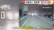 「えっ何？」高速道路で猛スピードの“逆走車”迫り来る瞬間　交差点の真ん中で身動きとれない逆走車も　新潟・岐阜