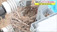 春の停電 原因の1つは「カラスの巣」停電の防止へ撤去 秋田市