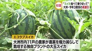 県内6地点で今シーズンの最高気温 夏の味覚・スイカも収穫盛ん【愛媛】