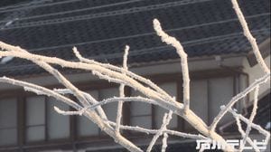 1月観測史上最低の「氷点下9.1度」も…放射冷却で石川県内は厳しい冷え込み 全地点で氷点下に