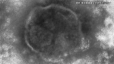 「はしか」感染拡大が止まらず 予防接種の